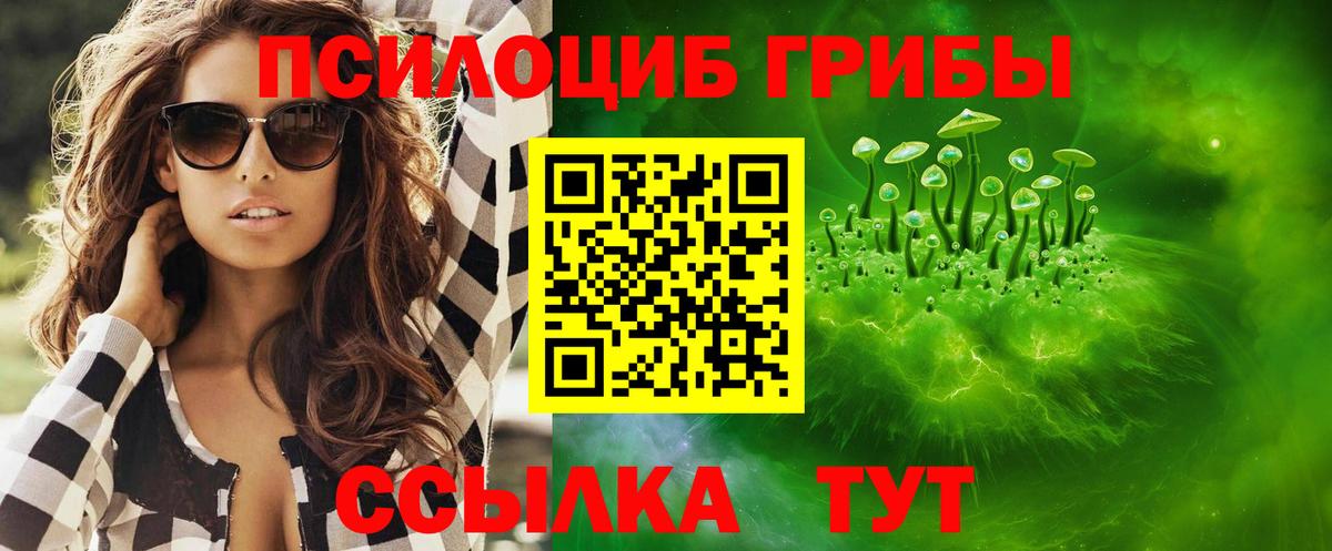 Майский  Псилоцибиновые грибы Psilocybine cubensis  Вход с VPN 