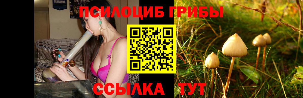 Галлюциногенные грибы GOLDEN TEACHER Майский